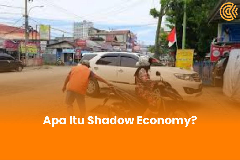 Apa Itu Shadow Economy
