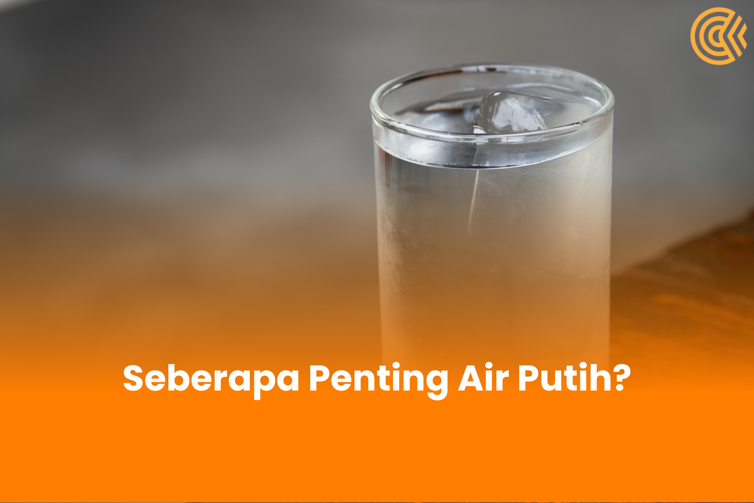 Seberapa Penting Air Putih